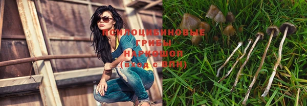 ПСИЛОЦИБИНОВЫЕ ГРИБЫ Кукмор