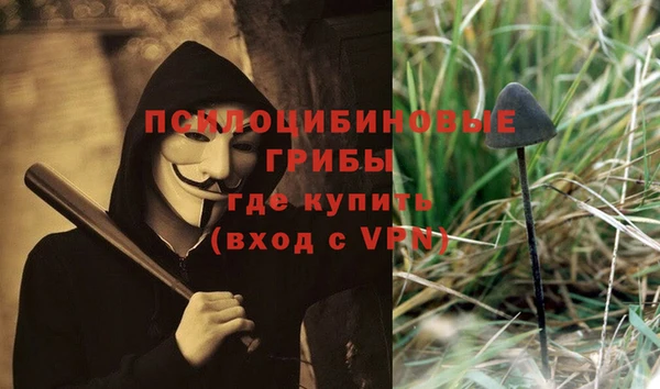 ПСИЛОЦИБИНОВЫЕ ГРИБЫ Кукмор