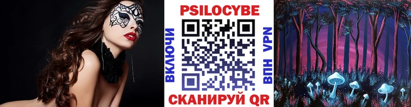 hydra ТОР  Сусуман  Галлюциногенные грибы мицелий 